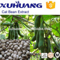 Halal Certificate The Best Natural Herb Extract Cat Bean Extract/Levodopa